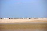0270 DSC_4857m